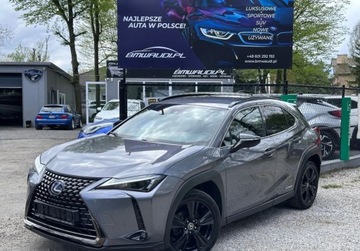 Lexus UX 2021