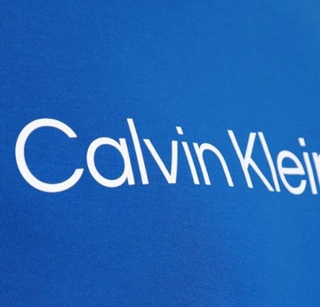 CALVIN KLEIN JEANS T-SHIRT MĘSKI NIEBIESKI L 1ŻGA