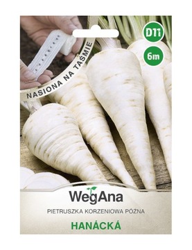 PIETRUSZKA korzeniowa Hanacka na taśmie 6m WEGANA