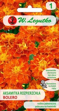 Aksamitka rozpierzchła Bolero Pomarańczowa 1g - Nasiona - W. Legutko