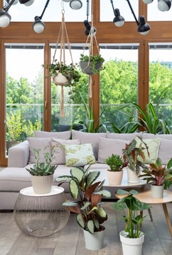 Крышка для вазона Magnolia Jumper 110 - 6 цветов