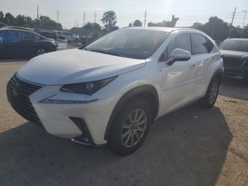 Lexus NX I 2019 Lexus NX 2019 LEXUS NX 300 BASE 2.0 Benzyna 235KM, zdjęcie 1