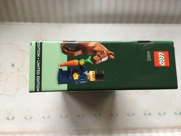 LEGO 40603 Зимняя поездка в карете