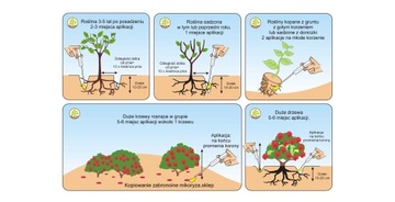 Микориза для вересковых, рододендронов, черники