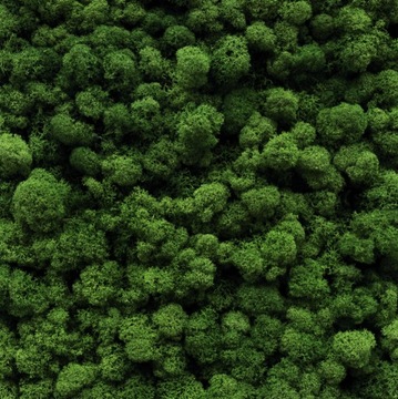 Картина мхом Замок на холме 60х40