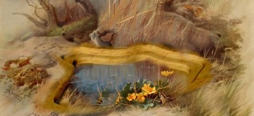 Мешок для посадки водных растений емкостью 1 л.