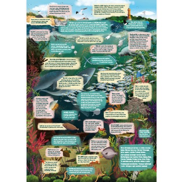 Пазл 84 детали. ЧуЧзу. Загадка наблюдения. Балтийское море