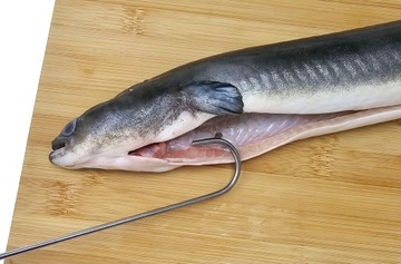 H-329 hak do wędzenia węgorzy długość 32cm wędzarniczy 4 ostrza polski hak