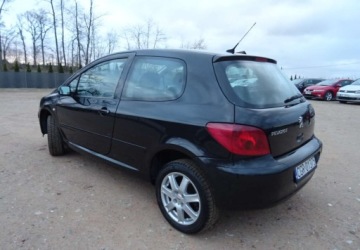 Peugeot 307 I Hatchback 2.0 16V 136KM 2004 Peugeot 307 2.0ben,klima,alu,zarejestrowan 2.0 Benzyna 136KM, zdjęcie 3