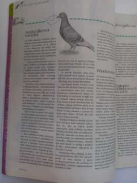Вружка 2/2010