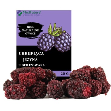 JEŻYNA liofilizowana owoce liofilizowane 20 g