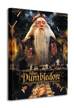 Harry Potter Albus Dumbledore Obraz płótno 40x50cm