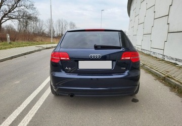 Audi A3 8P Hatchback 3d 1.6 TDI 105KM 2012 Audi A3 Bezwypadkowy Nowe wtryski, sprzeglo d..., zdjęcie 4