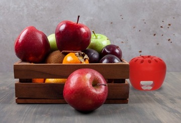 ЛОВушка для фруктовых мух