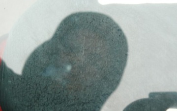 SKLO (OKNO) BOČNÍ DVEŘE LEVÝ ZADNÍ TOYOTA AVENSIS II 2 T25 03-09 HATCHBACK