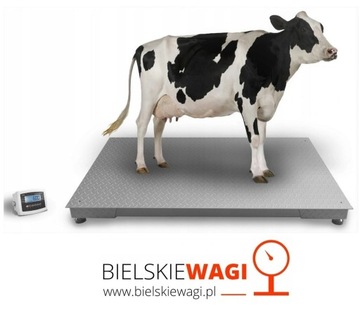 WAGA INWENTARZOWA 1,2 x 2,2m 5 T DO WAŻENIA BYDŁA