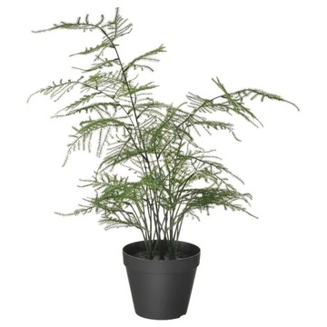 SZTUCZNE KWIATY FEJKA SZPARAG LEKARSKI 45CM ROŚLINA DONICZKOWA