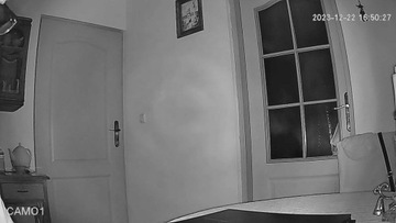 Внутренняя камера FullHD для наблюдения за квартирой.