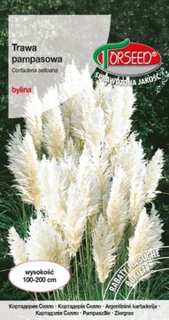 Trawa pampasowa - białe 0,1g Cortaderia selloana - biała