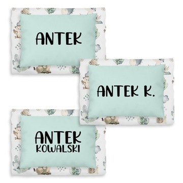 СПАЛЬНЫЙ МЕШОК ДОШКОЛЬНИКА СПАЛЬНОЕ + СУМКА 145х75 разные дизайны + НАИМЕНОВАНИЕ