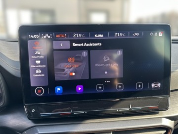 Cupra Formentor Crossover 2.0 TSI 310KM 2024 Cupra Formentor 2.0 TSI 310KM 4Drive Navi System+, zdjęcie 20