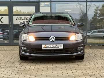 Volkswagen Golf VII Hatchback 3d 1.4 TSI BlueMotion Technology 125KM 2016 Volkswagen Golf Łopatki Grzane fotele Czujniki, zdjęcie 3