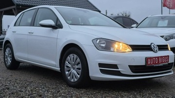 Volkswagen Golf VII Hatchback 3d 1.2 TSI 85KM 2014 Volkswagen Golf Mały Przebieg climatronic, zdjęcie 2