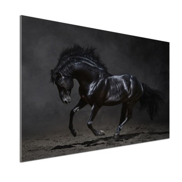 Panel dekor szkło Czarny koń 100x70 cm + KLEJ