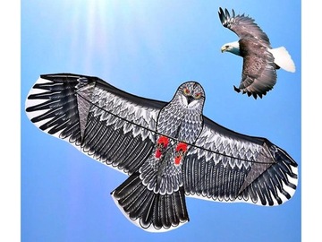 LATAWIEC PTAK ORZEŁ Z LINKĄ DLA DZIECI NA PREZENT