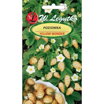 Poziomka Yellow Wonder 0,1 g