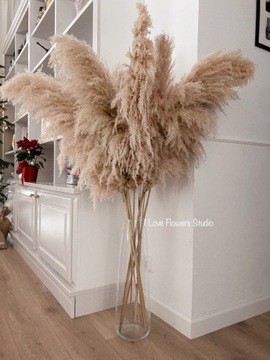 TRAWA PAMPASOWA DELUX 150cm Z DŁUGIM PIÓROPUSZEM