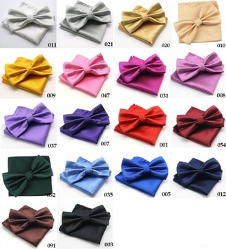 Мужской TIE и фиолетовый POCKET Square