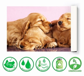 Ochronna mata na biurko 120x60 śpiące pieski psy