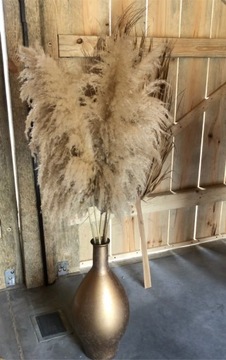 ДЕЛЮКС ПАМПАССКАЯ ТРАВА 150см С ДЛИННЫМ ПЕРЕМЫЧЕМ