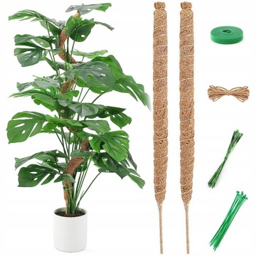 Podpórki do roślin 64 cm 2 szt.