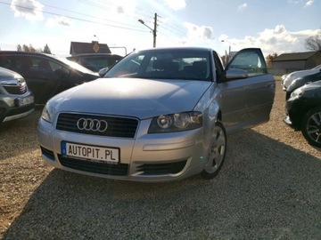 Audi A3 8L Hatchback 1.6 i 102KM 2003 Audi A3 Audi A3 II (8P) 1.6 102KM Mpi, BDB sta..., zdjęcie 28