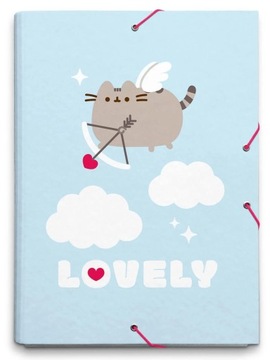 TECZKA NA DOKUMENTY KOT PUSHEEN A4