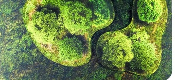 2D УНИВЕРСАЛЬНЫЕ ОБЛАСТИ - ЛЕС