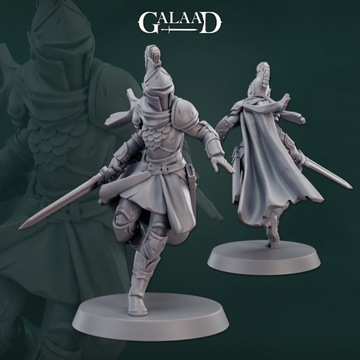 Female knight sword fighter 02 - 3dmonkeypl