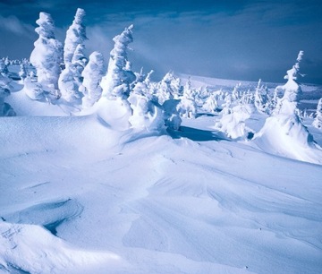 Kalendarz 2025 ścienny PLANER do notatek dla 5 osób PEJZAŻE