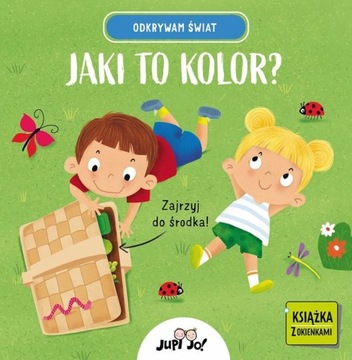 ODKRYWAM ŚWIAT JAKI TO KOLOR? KSIĄŻKA Z OKIENKAMI