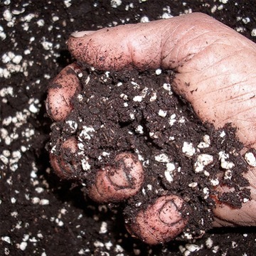 CANNA TERRA PROFESSIONAL 50L - ПРЕМИУМ цветочная почва с перлитом