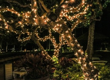 НАРУЖНЫЕ РОЖДЕСТВЕНСКИЕ ОГНИ 100 СВЕТОДИОДОВ ТОЛЩИНОЙ 5М ВСПЫШКА