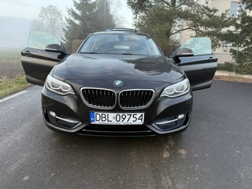 BMW Seria 2 F22-F23-F45-F46 Coupe 220i (Euro 6) 184KM 2016 BMW 220 2.0i 184KM 68tys.km. Navi Bezwypadkowy, zdjęcie 7
