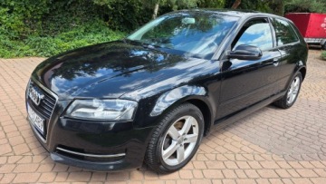Audi A3 8P Hatchback 3d 1.6 TDI 90KM 2011 AUDI A3 1.6 TDI AMBITION 2011 KLIMATRONIK ALU SUPER STAN! FAKTURA MARŻA!, zdjęcie 8