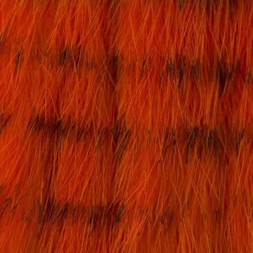 ZONKERY FD1203T LEMON YELLOW TIGER