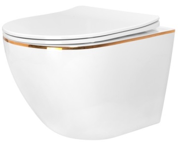 Унитаз подвесной CARLO MINI RIMLESS GOLD EDGE