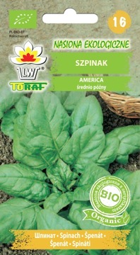 BIO Szpinak America średnio - późny Nasiona 10 g