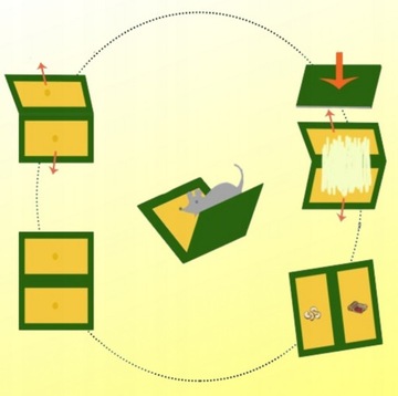 20 крыс-мышеловок BUZZRAPE LEP TRAPP!