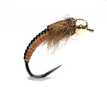 Caddis Brown black back Nymph size 10 tungsten